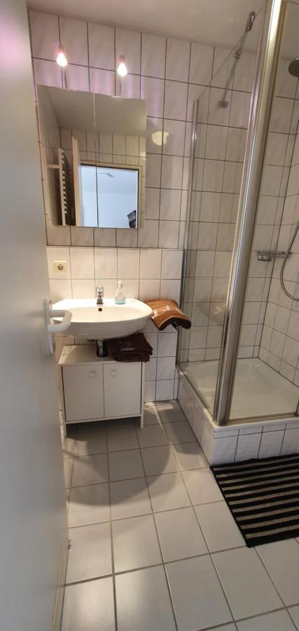 Schöne ruhige und helle Wohnung in Bad Säckingen Exterior foto
